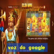 voz do google tradutor homem